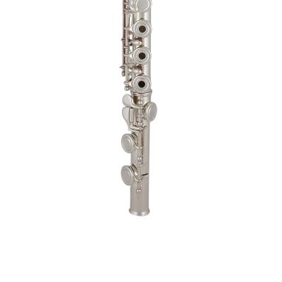 Flauta Powell SONARE 501 PS51BGF